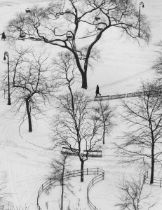 Photo:  Washington Square, New York, 1954