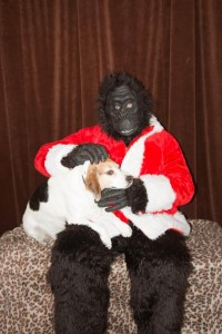 What child wouldn't love a visit with Gorilla Santa?