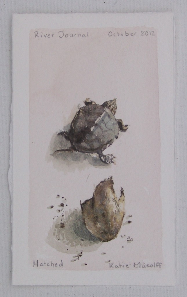 "Hatched," River Journal, watercolor on paper, September 2012. Courtesy of the artist and Grand Hand Gallery.
