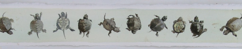 "Turtle Parade," watercolor on paper, September 2012. Courtesy of the artist and Grand Hand Gallery.