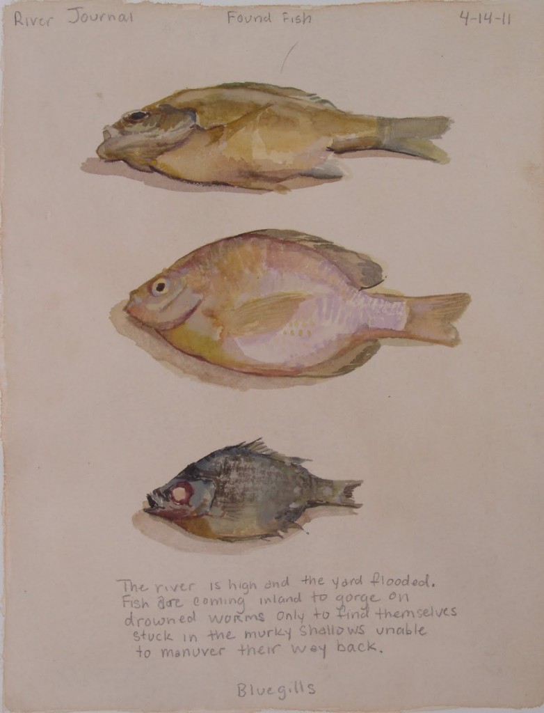 "Found fish," River Journal, watercolor on paper. Courtesy of the artist and Grand Hand Gallery.
