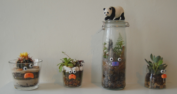 A selection of the terrarium art by Mandi Bompensa and NoseGo.