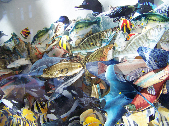 Detail, teeming with fish. Photo by Susannah Schouweiler.