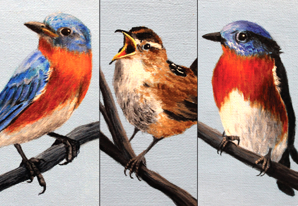 Detail of three ornithological paintings by Leslie Miller, a member of the Middle Georgia Art Association.