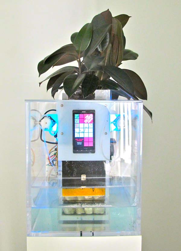 Spore 2.0 by Matt Kenyon, a rubber tree plant from Home Depot that is electronically watered according to the performance of Home Depot's stock.
