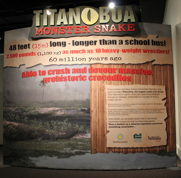 This display near the entrance to the exhibit offers background information on this recently discovered serpent.