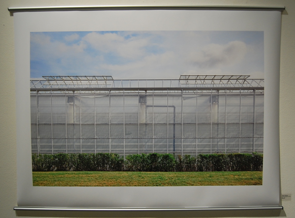 John Woodin, "Green House."