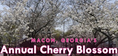 Macon Cherry Blossom Festival 2014 banner