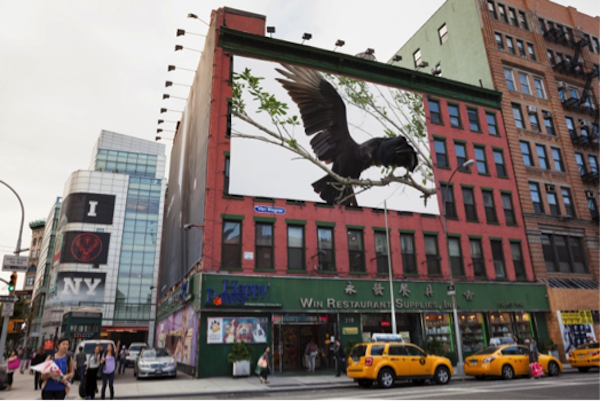  Susan Silas, Flight (Proposal for a billboard, Soho, New York), 2013
