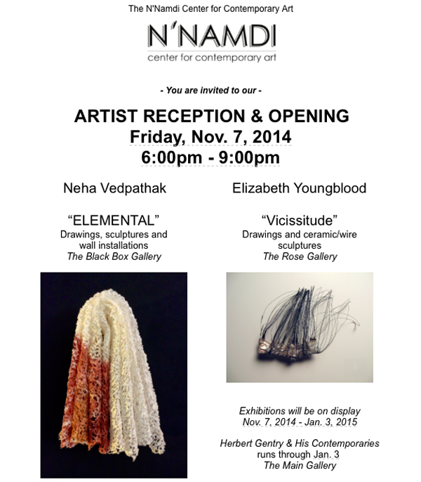 Upcoming for this weekend at the N'Namdi Center for Contemporary Art.