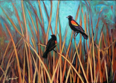 Red wing black bird by Greta Sandquist