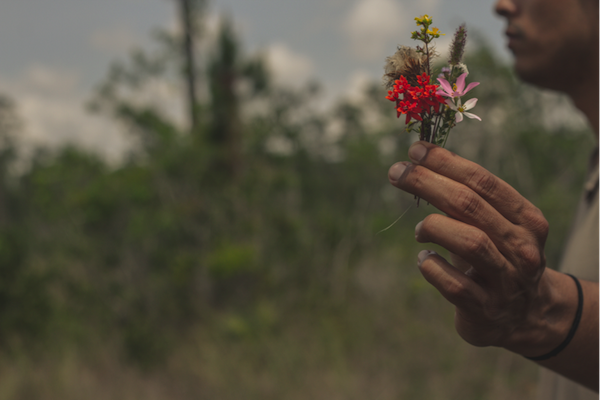 “Tiny Wild Flowers” Franky Cruz Photograph by Daze Rodriguez