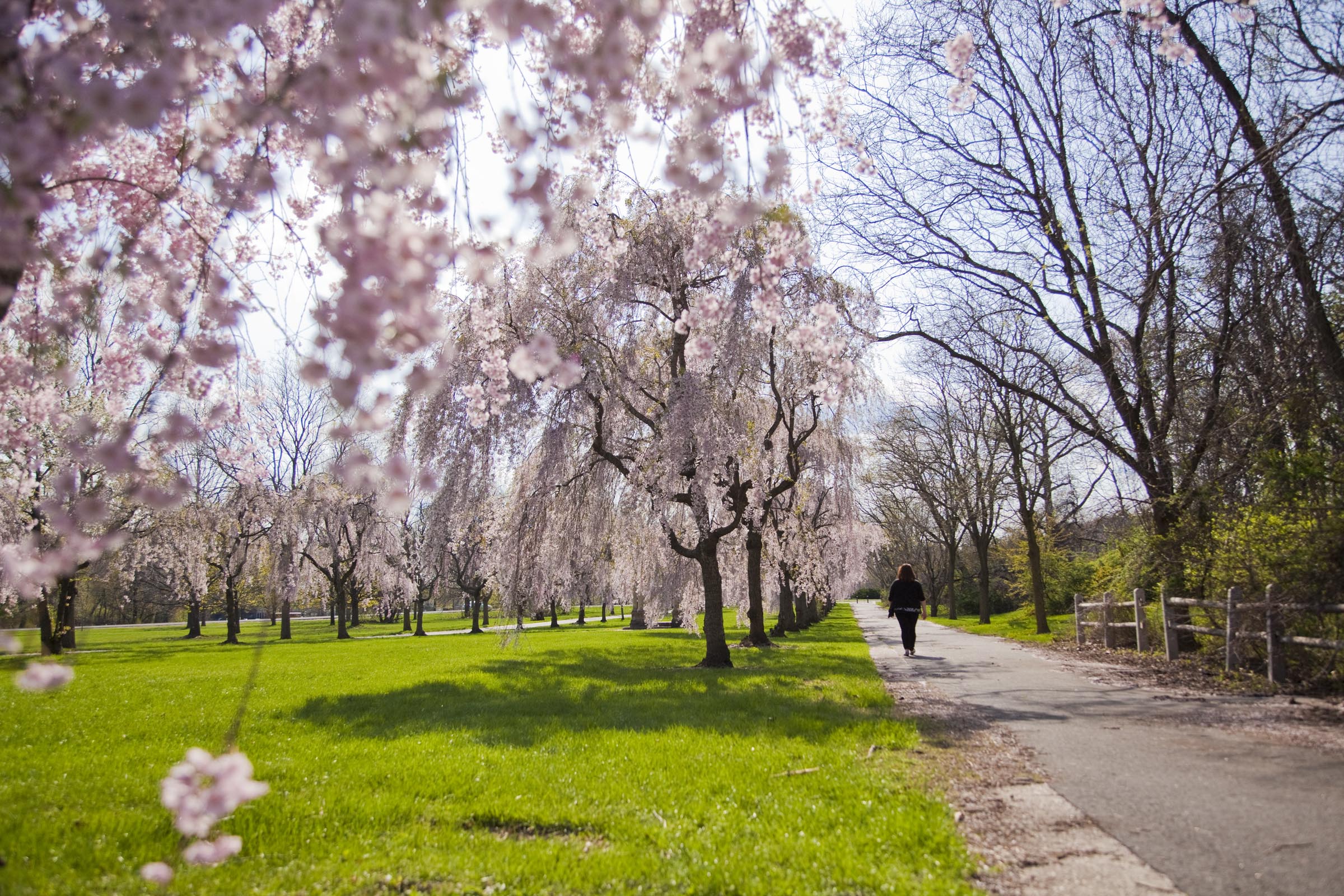 how-reimagining-the-civic-commons-is-unlocking-the-potential-of-public