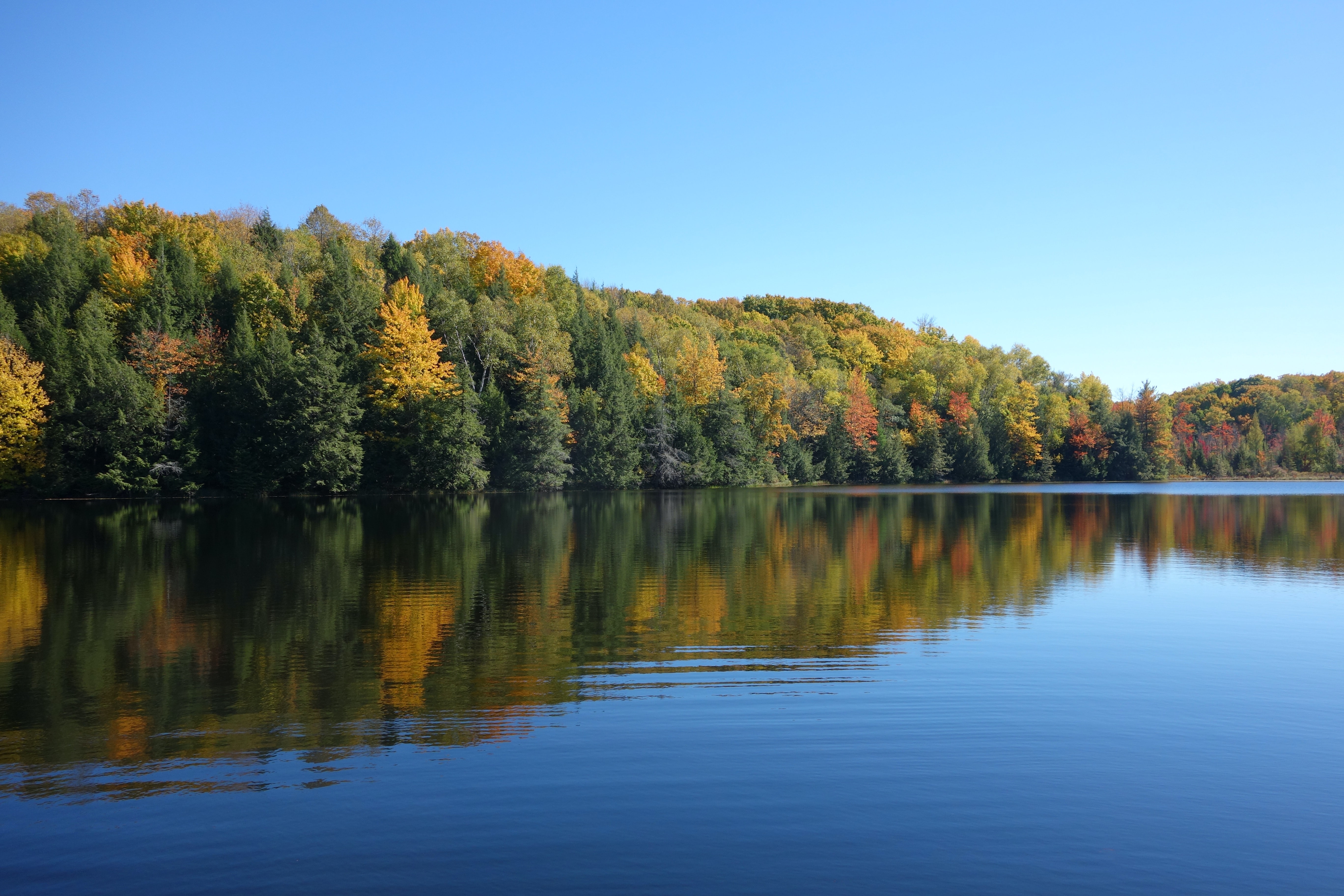 Landmark study reveals importance of accessing recreational areas in