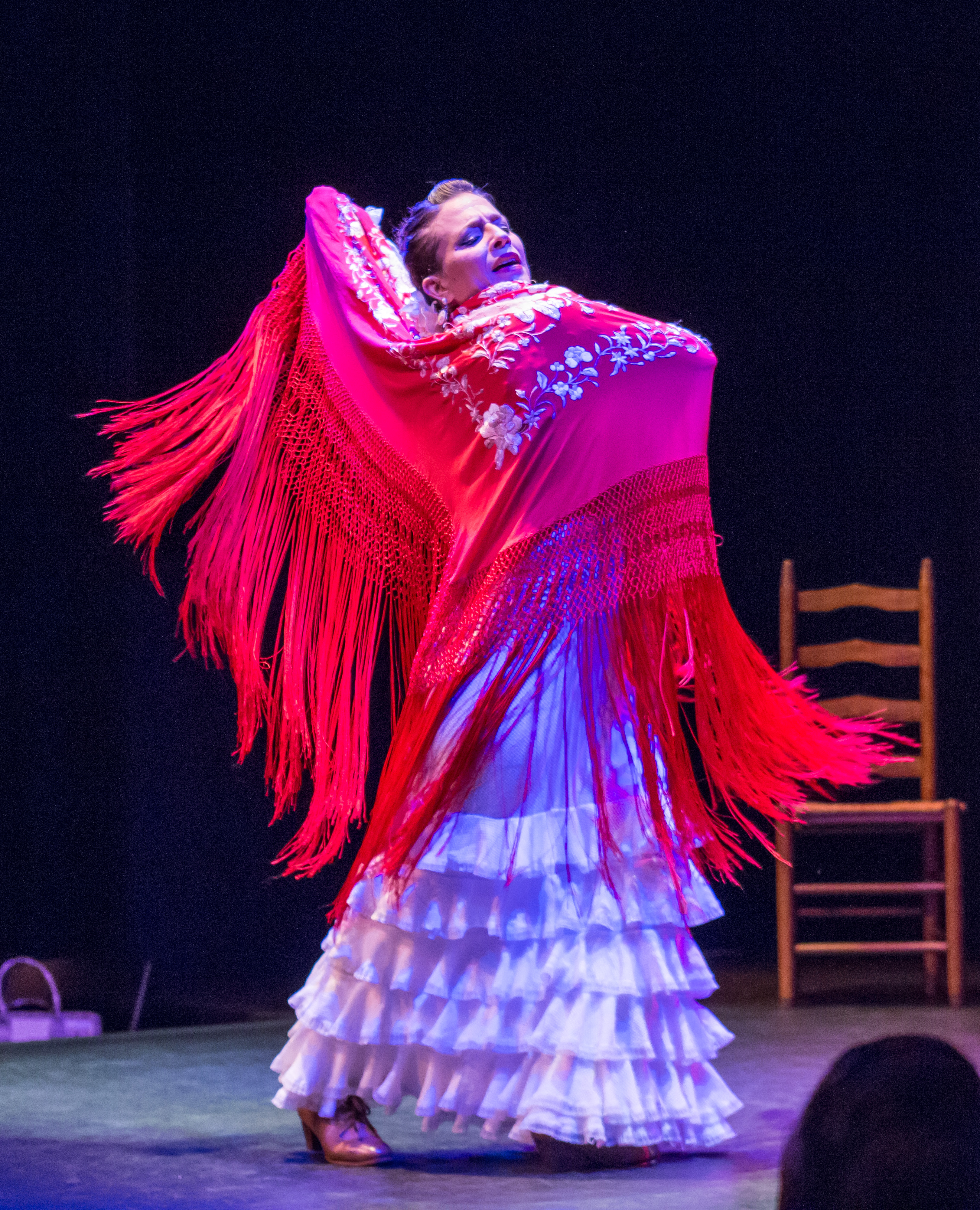Ballet Flamenco La Rosa