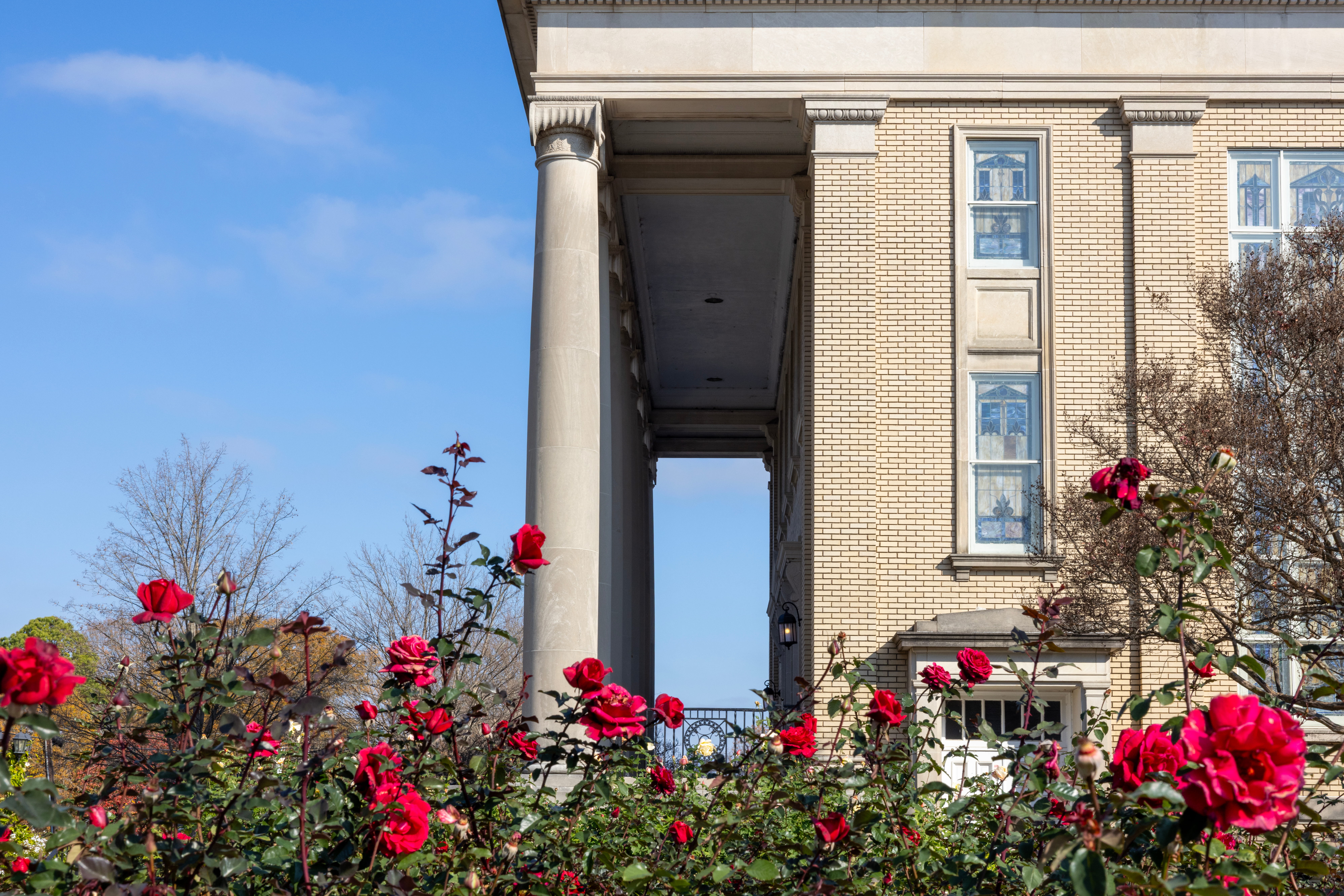 Photo of building and flower bushes